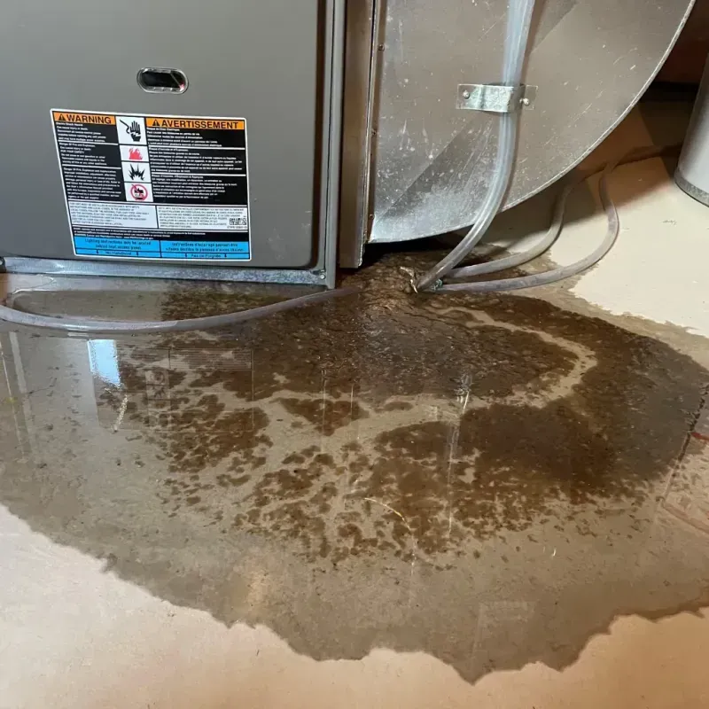 Appliance Leak Cleanup in Warrenton, GA